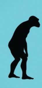 evolution (1)